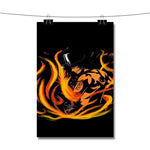 Ace One Piece New Poster Wall Decor