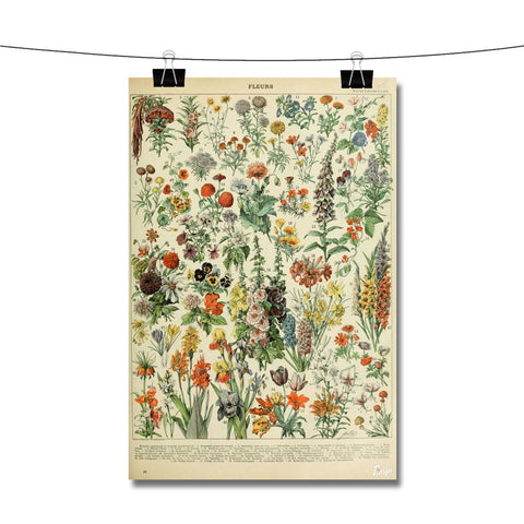 Adolphe Millot Fleurs Newest Poster Wall Decor
