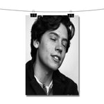 Cole Sprouse American Actor Poster Wall Decor