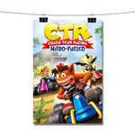Crash Team Racing Nitro Fueled Poster Wall Decor