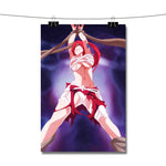 Erza Fairy Tail Poster Wall Decor