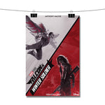 Falcon and Winter Soldier Movie Poster Wall Decor