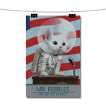 Fallout 4 Mr Pebbles Poster Wall Decor