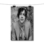 Harry Styles Face Poster Wall Decor
