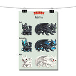 How To Train Your Dragon Night Fury Light Fury Poster Wall Decor