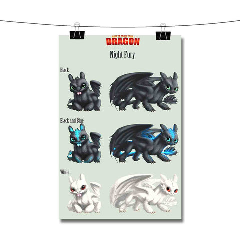 How To Train Your Dragon Night Fury Light Fury Poster Wall Decor