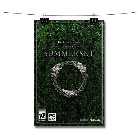The Elder Scrolls Online Summerset Poster Wall Decor