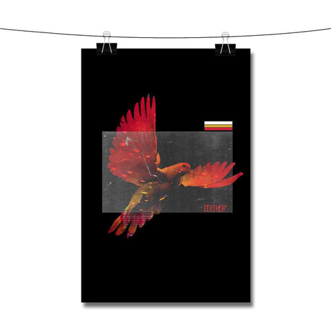 Xavier Clark Feathers Poster Wall Decor
