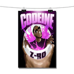 You Ain t Gotta Worry Z Ro Poster Wall Decor