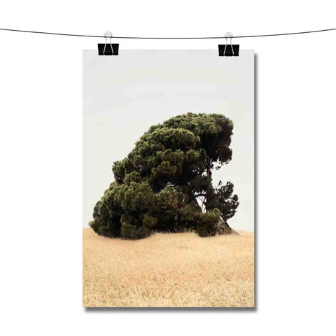 Ziploc Tyler The Creator Poster Wall Decor